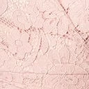 Dust Pink Lace Le Lune Dress - Image 6